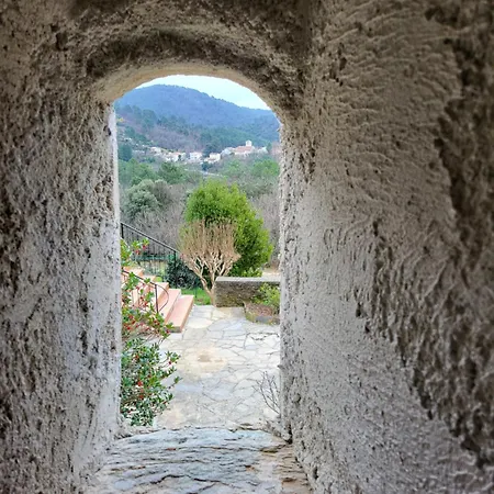 En Cévennes,les Du Champ Neuf La Grange Du Papé Hébergement de vacances Saint-Julien-des-Points